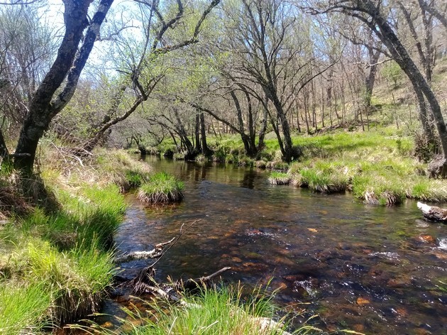 Cartografía de hábitats de interés comunitario (Anexo I de la ley 42/2007) en la Reserva Natural Fluvial del Río Negro (Zamora)
