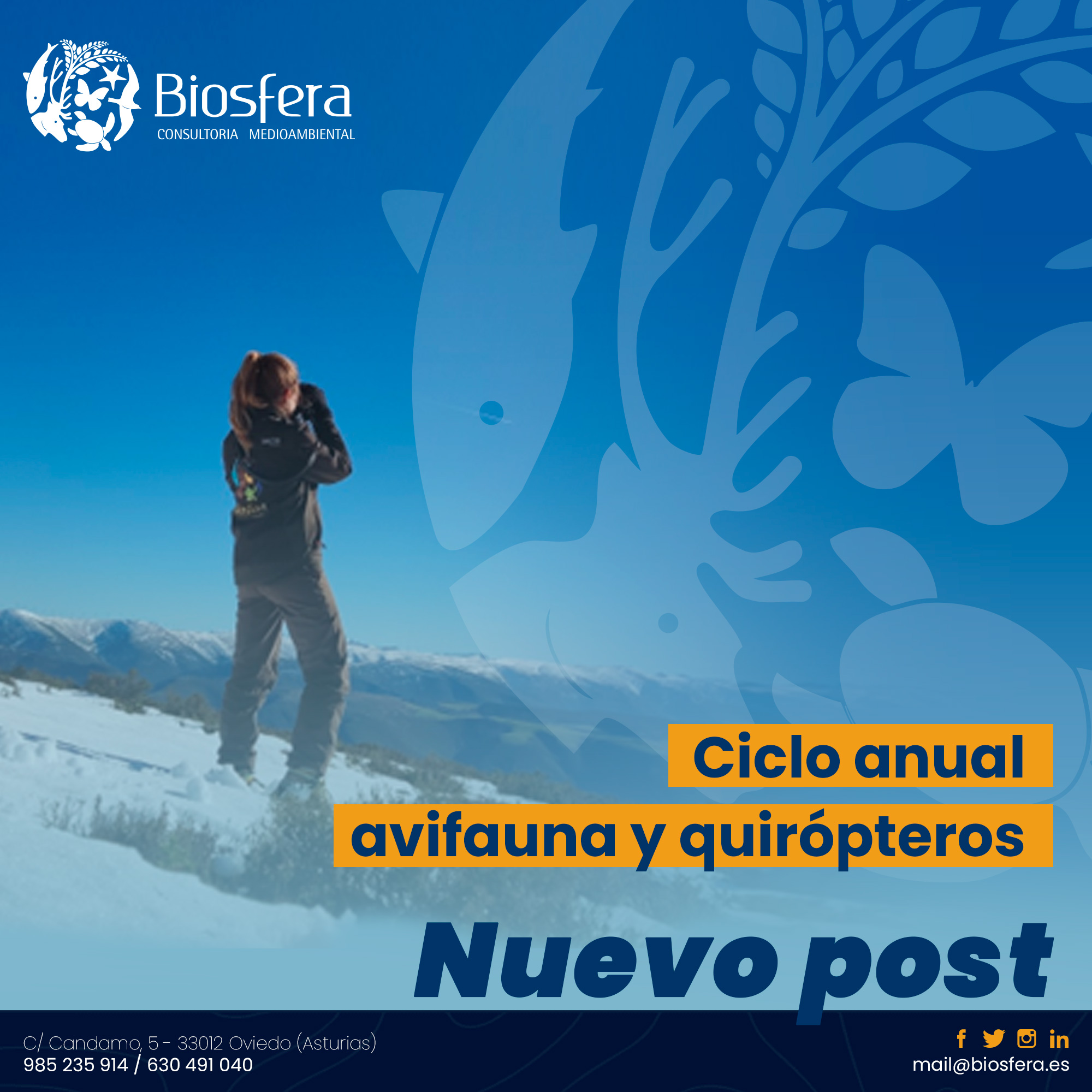 Biosfera Consultor a Ambiental Ciclo Anual Avifauna Y Quir pteros