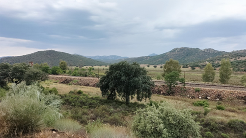 Estudio de fauna y flora en el entorno de la línea de ferrocarril Ciudad Real-Badajoz