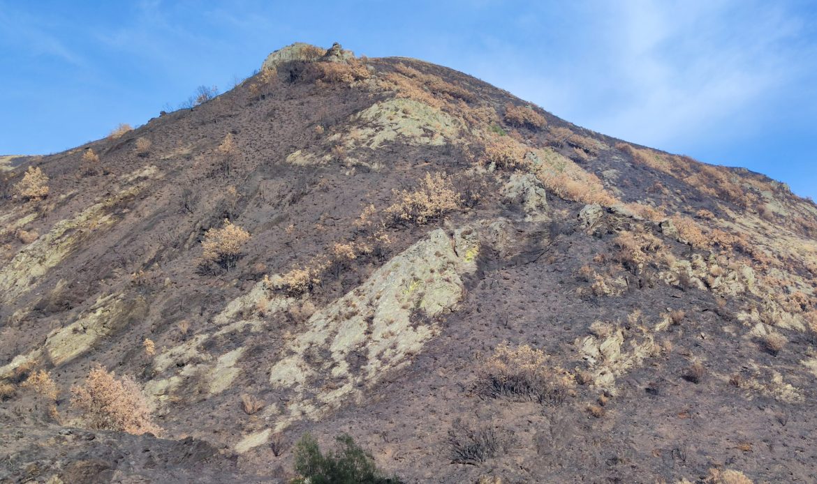 Seguimiento de las poblaciones de desmán ibérico (Galemys pyrenaicus) en la subcuenca del rio Yuso (provincia de León) afectada por el incendio forestal de Barniedo (2025)