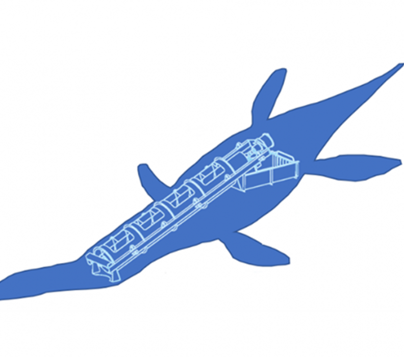 Hydrorion – Hidrotornillo para Conectividad Fluvial