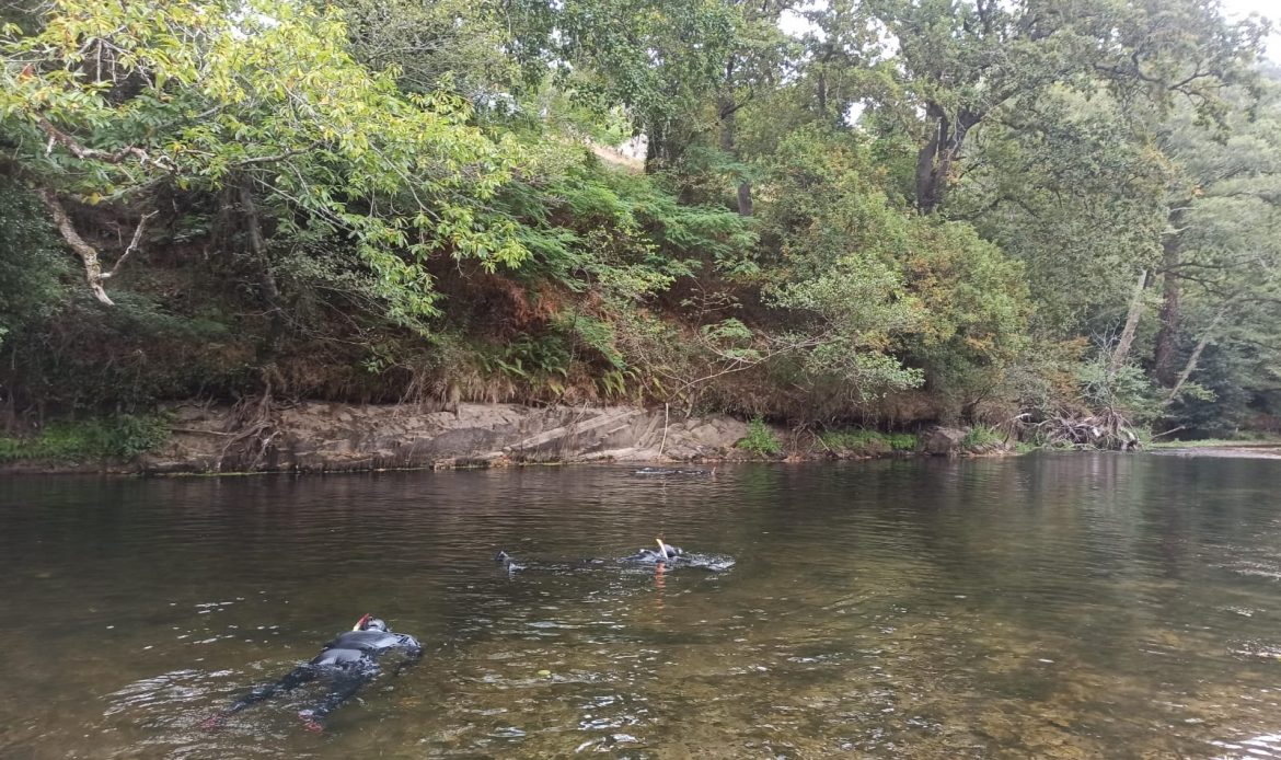 Prospección de Madreperla de río (Margaritifera margaritifera) en el río Esva en el entorno del azud de la localidad de Casiellas (Principado de Asturias)